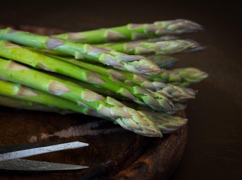 healthy recipes