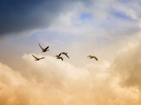financial freedom
