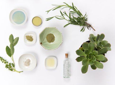 holistic health