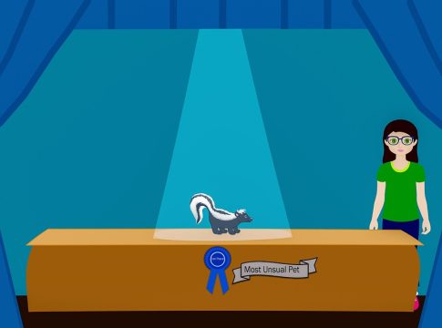 award show highlights