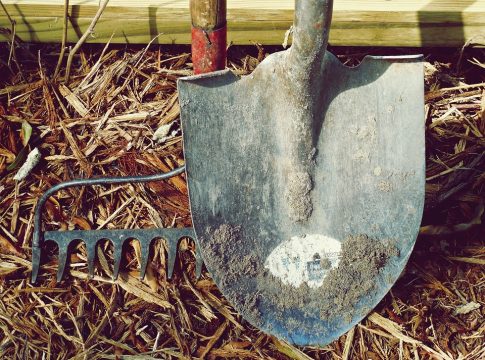 SaaS tools