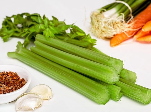 healthy recipes
