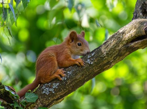mindful eating